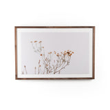"In The Details I" by Annie Spratt