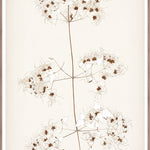 "Botanical Sketch I" Framed Art Print ARTWORK - framed print Celadon Art Large