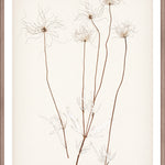 "Botanical Sketch III" Framed Art Print ARTWORK - framed print Celadon Art Small