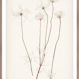 "Botanical Sketch III" Framed Art Print ARTWORK - framed print Celadon Art Small