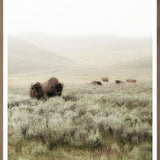 "Grazing Hills I" Framed Art Print ARTWORK - framed print Celadon Art