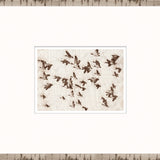"Flock in Flight" Framed Art Print ARTWORK - framed print Celadon Art Glass Framed