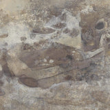 Penumbra II Mural by Matera WALLPAPER - abstract Four Hands