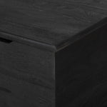 Quintin Trunk FURNITURE - benches Four Hands