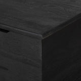 Quintin Trunk FURNITURE - benches Four Hands