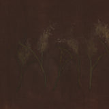 "Bloom III" by Brittney Schulz