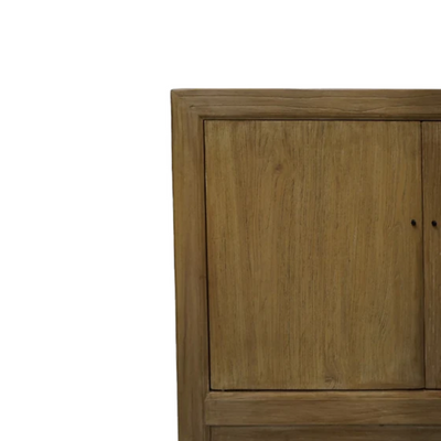 Marlow Two Door Reclaimed Wood Cabinet - Natural