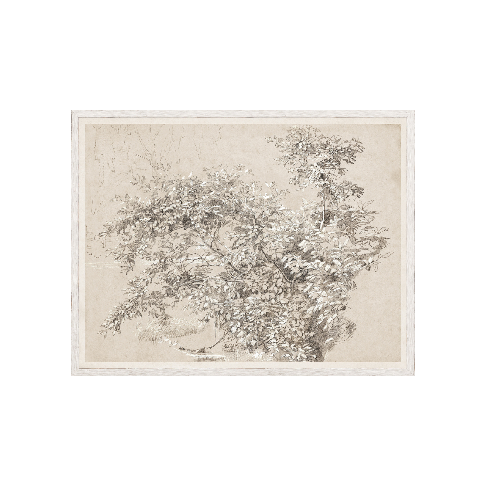 "Verdant Whispers in Graphite" Framed Art Print ARTWORK - framed print Celadon Art
