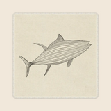 "Fishing Line VI" Framed Art Print