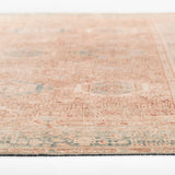 Ariyah Salmon / Sky Rug RUGS - synthetic Momeni
