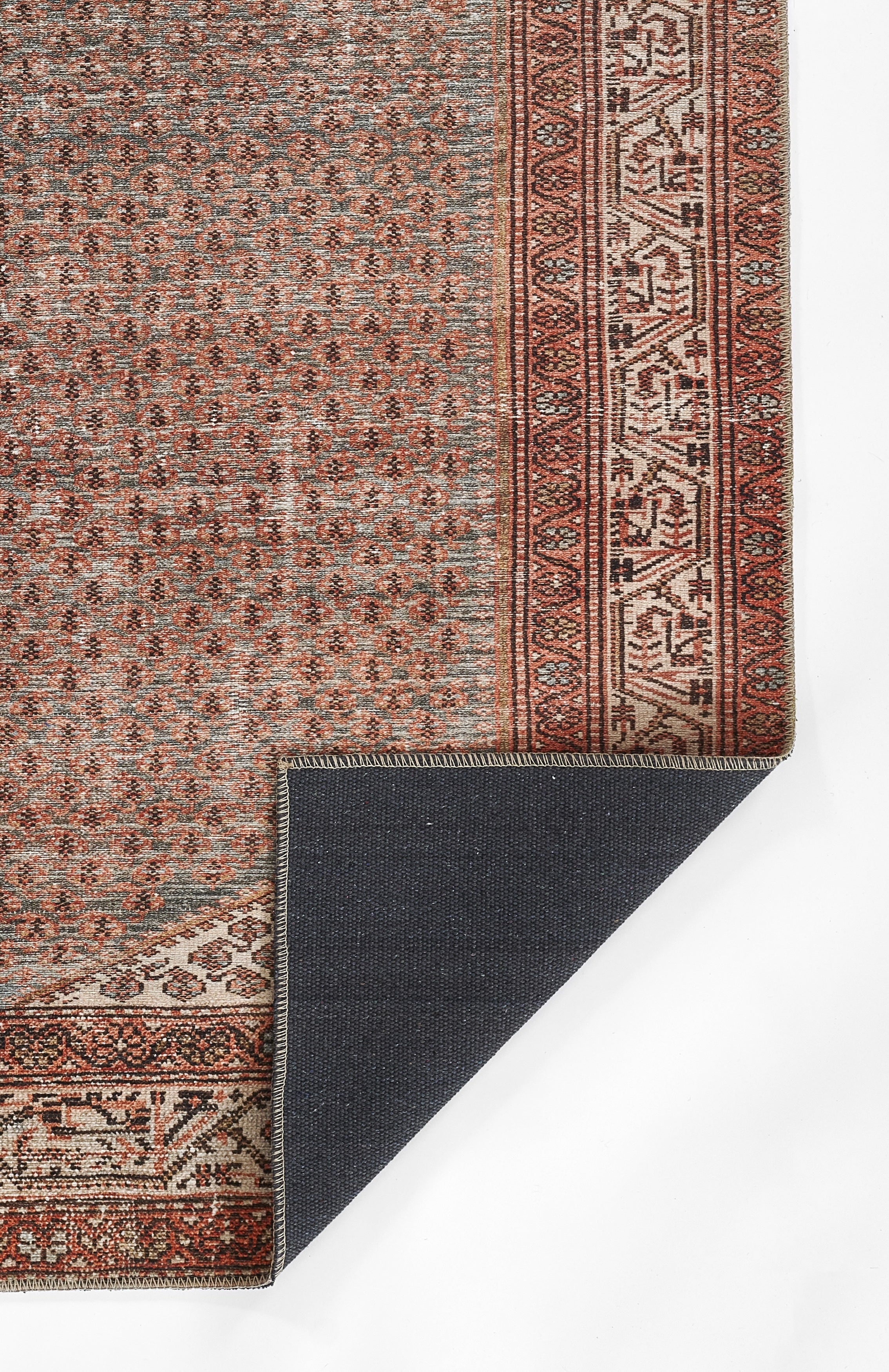 Ariyah Brick / Blue Rug RUGS - synthetic Momeni
