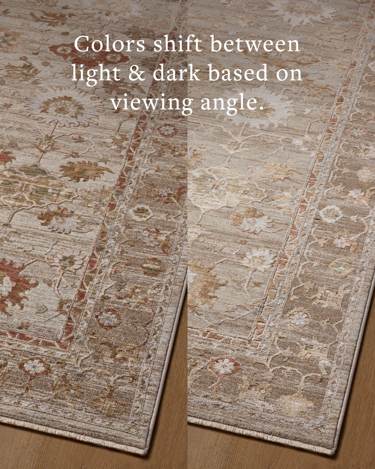 Loloi Aylin Pebble / Sunrise Rug - Rug & Weave