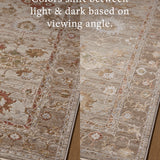 Loloi Aylin Pebble / Sunrise Rug - Rug & Weave