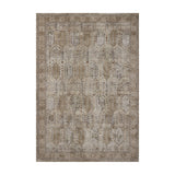 Loloi Aylin Taupe / Multi Rug
