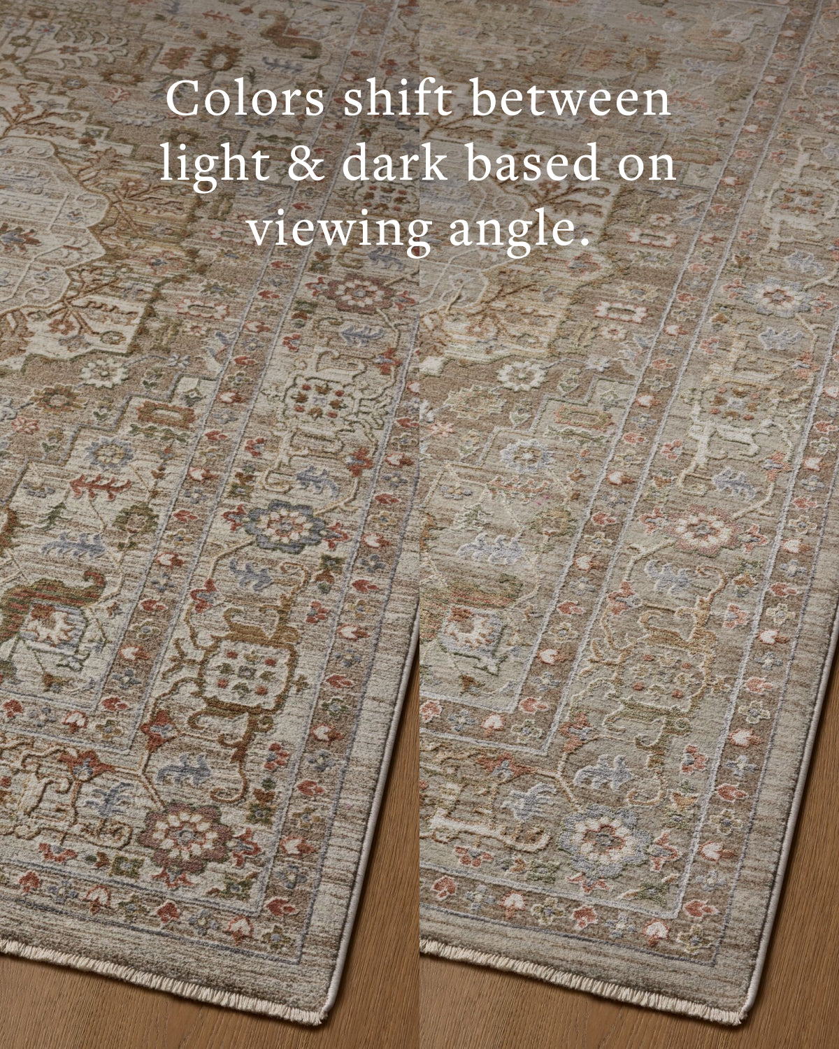 Loloi Aylin Mushroom / Fiesta Rug - Rug & Weave
