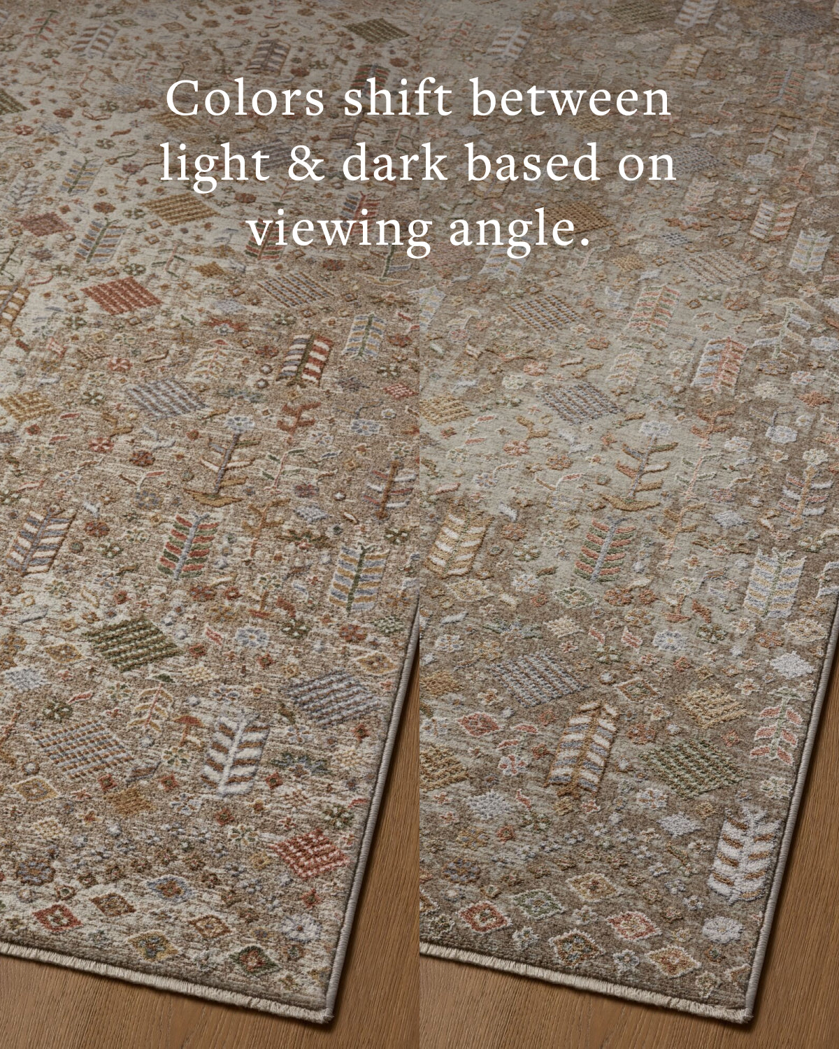 Loloi Aylin Mushroom / Multi Rug - Rug & Weave