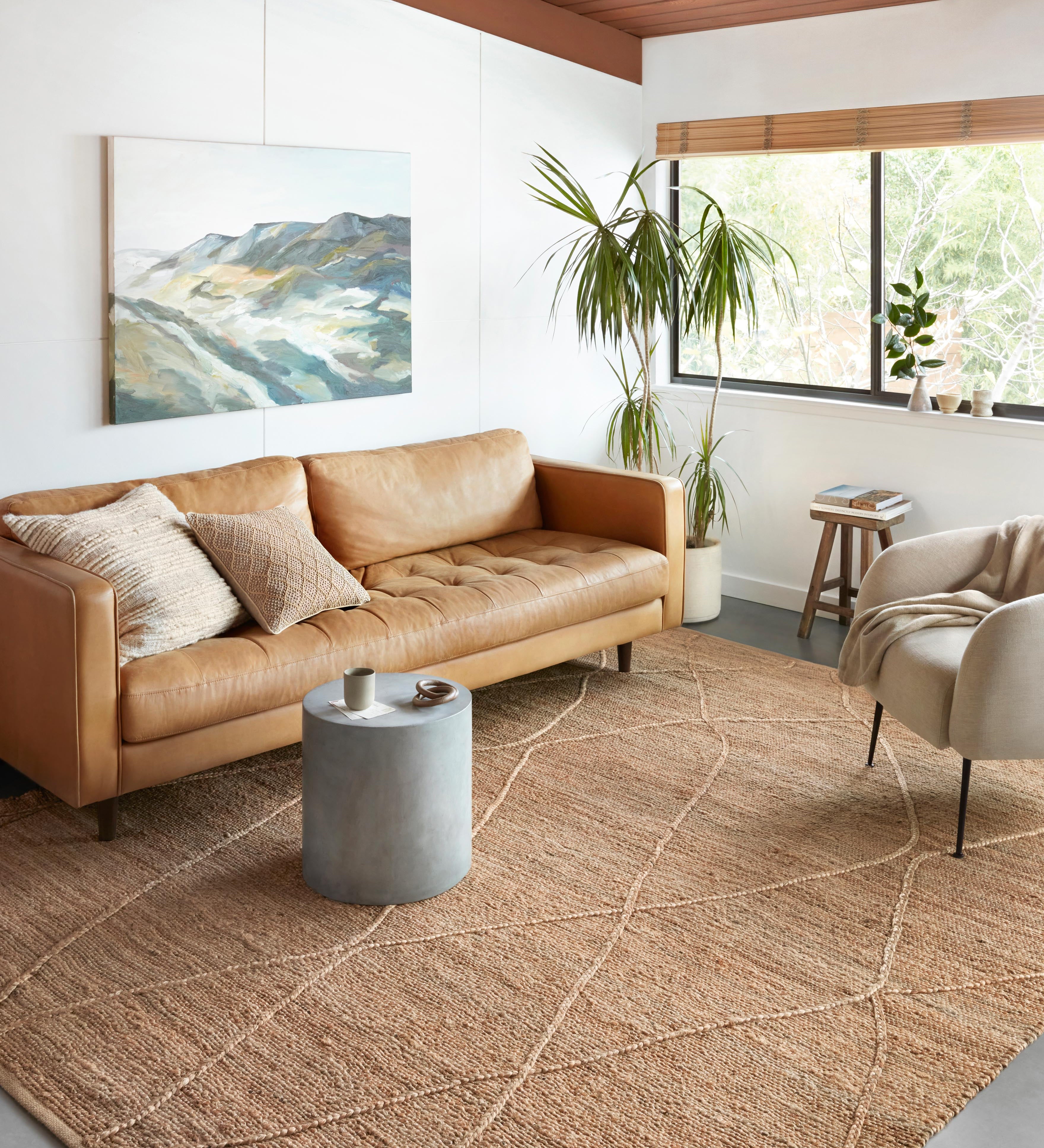 Loloi Bodhi Natural Rug