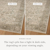 Loloi Briar Ivory / Sage Rug RUGS - synthetic Loloi
