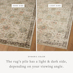 Loloi Briar Ivory / Multi Rug RUGS - synthetic Loloi