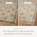 Loloi Briar Ivory / Multi Rug RUGS - synthetic Loloi 18" x 18" sample
