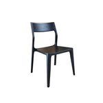Catana Dining Chair - set of 2 FURNITURE - dining chairs LH IMPORTS