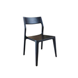 Catana Dining Chair - set of 2 FURNITURE - dining chairs LH IMPORTS