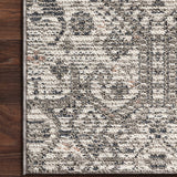Loloi Cole Ivory / Multi Rug Loloi