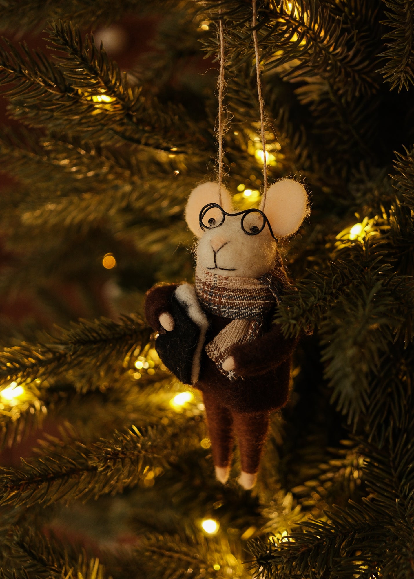 Academia Mice – view 3