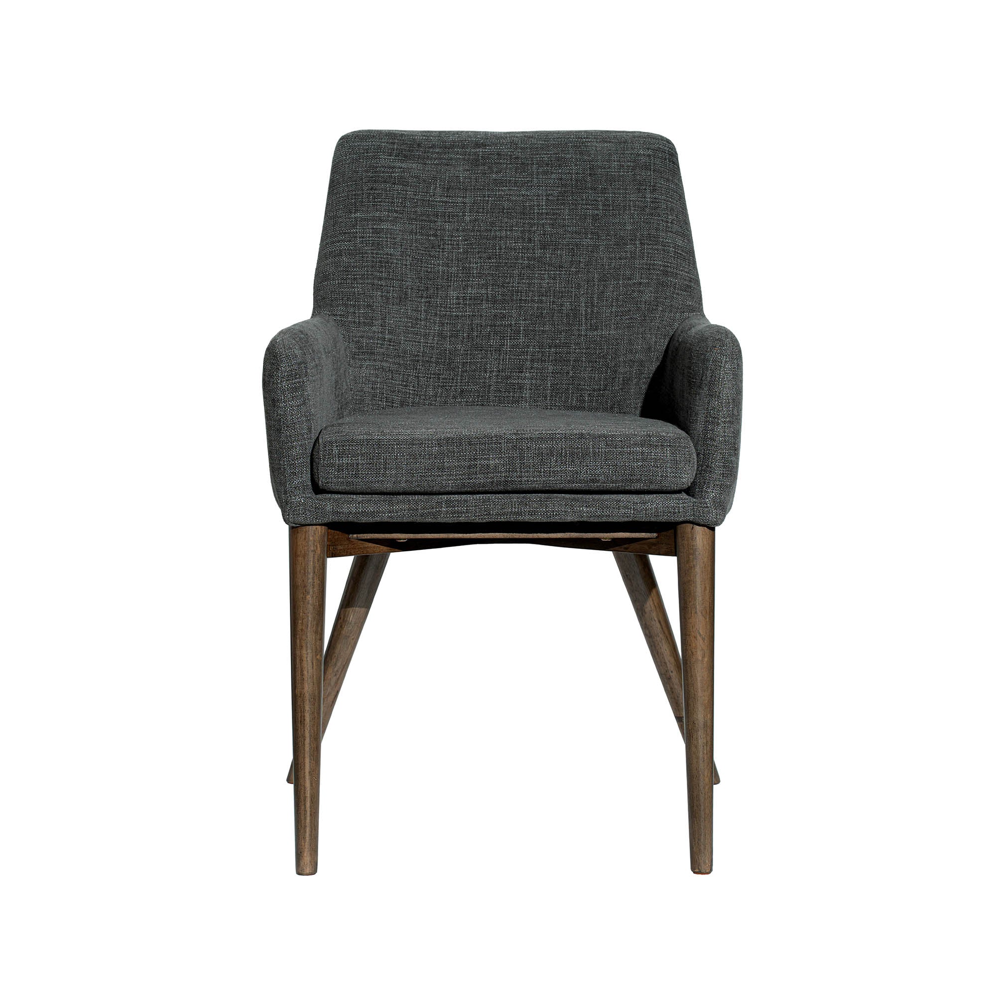 Frits Dining Armchair - set of 2 FURNITURE - dining chairs LH IMPORTS