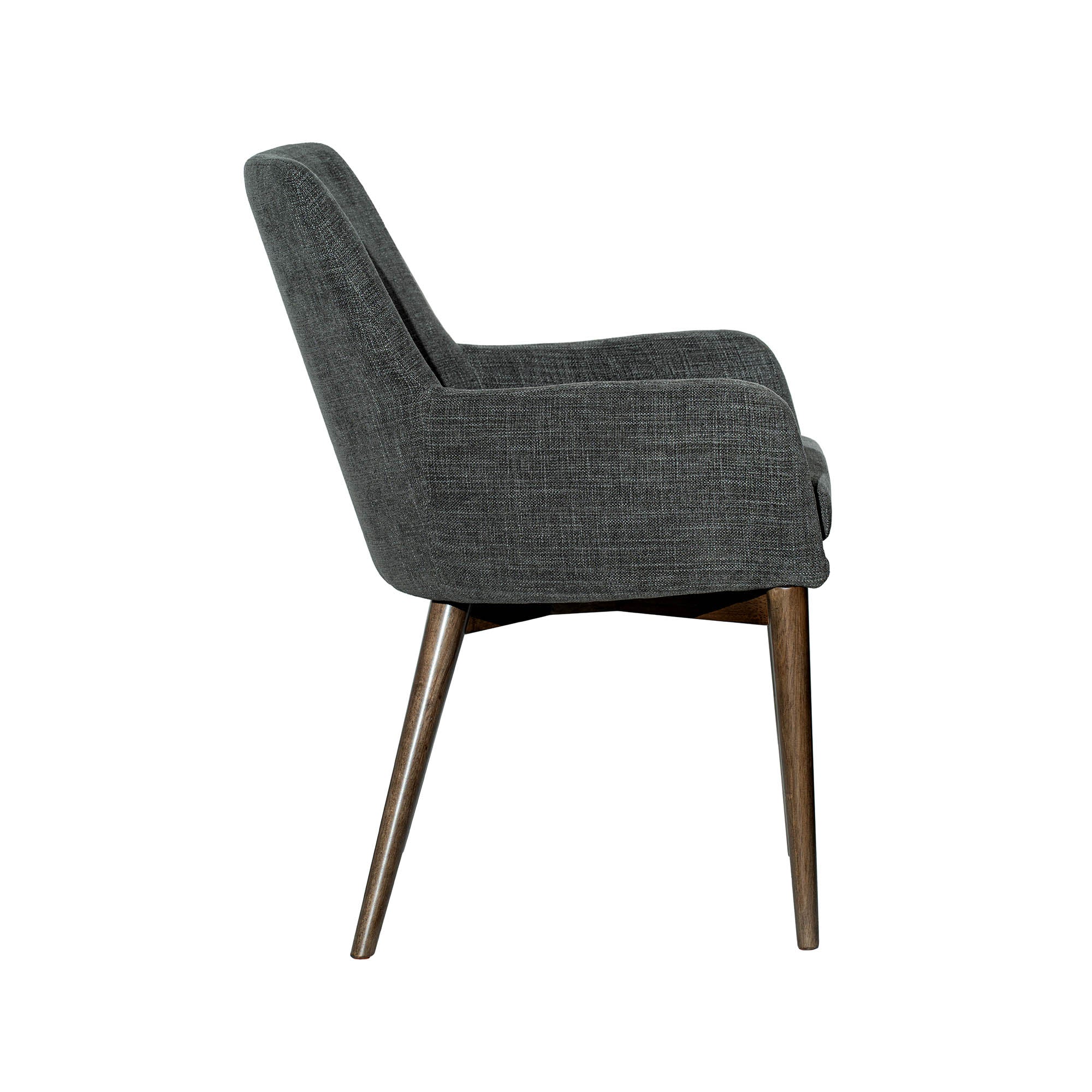 Frits Dining Armchair - set of 2 FURNITURE - dining chairs LH IMPORTS