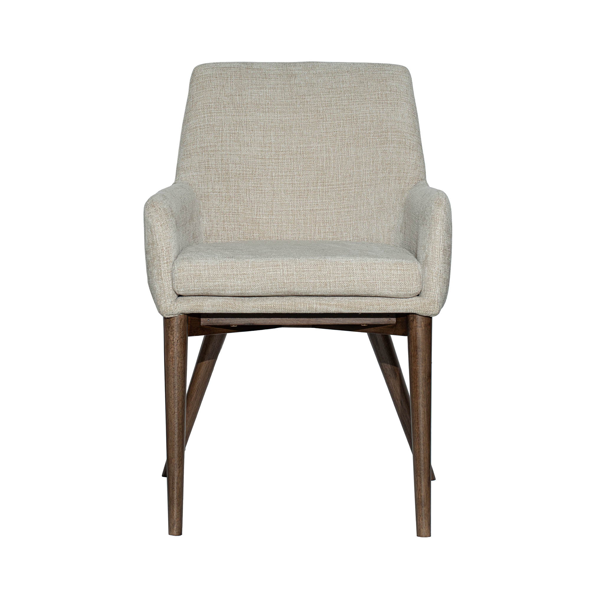 Frits Dining Armchair - set of 2 FURNITURE - dining chairs LH IMPORTS