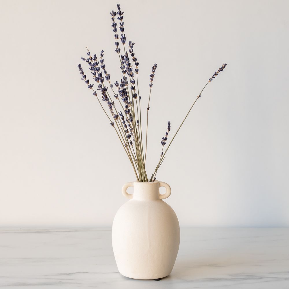 Curved Stoneware Vase with Handles
