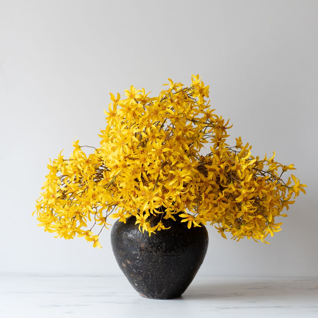 Faux Yellow Forsythia Bunch - Rug & Weave