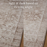Loloi Lune Taupe / Ivory Rug - Rug & Weave