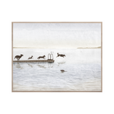 "Dog Days By The Lake" Framed Art Print