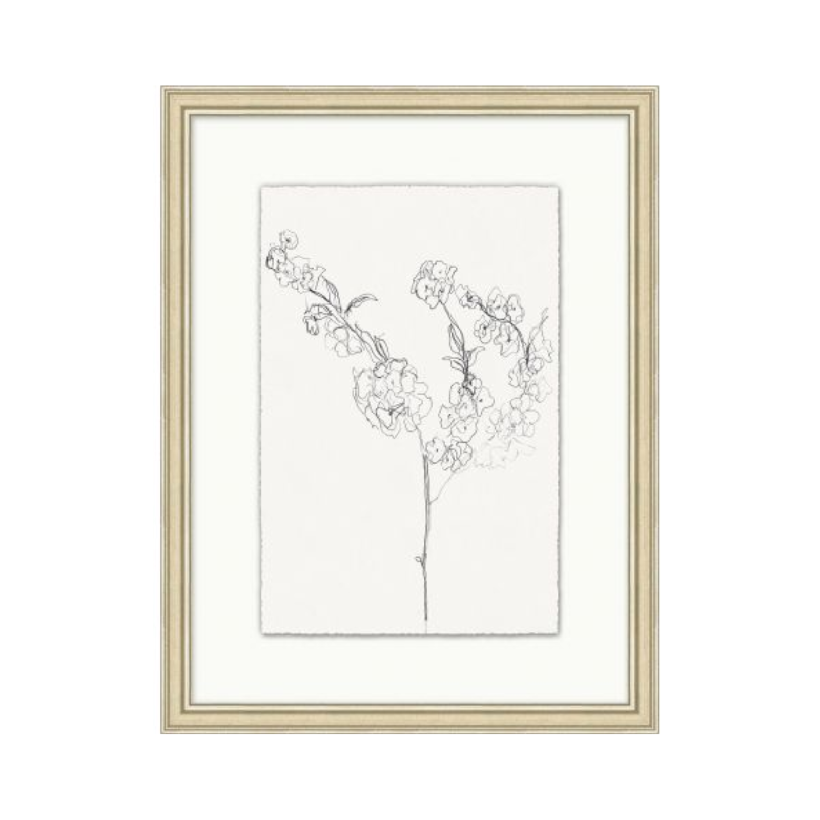 "Floral Sketch" Framed Art Print