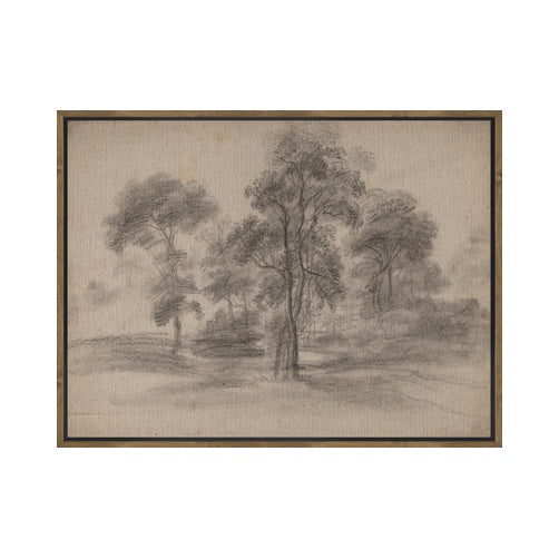 IN STORE - "Sepia Grove" Framed Canvas ARTWORK - in store Northwood Collection