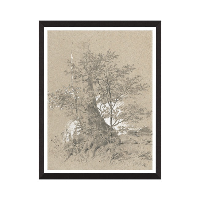 IN STORE - "Woodland Study II" Framed Art Print ARTWORK - in store Northwood Collection