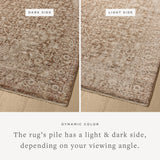 Loloi II Newman Bark / Natural Rug