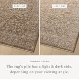 Loloi II Newman Dark Taupe / Natural Rug