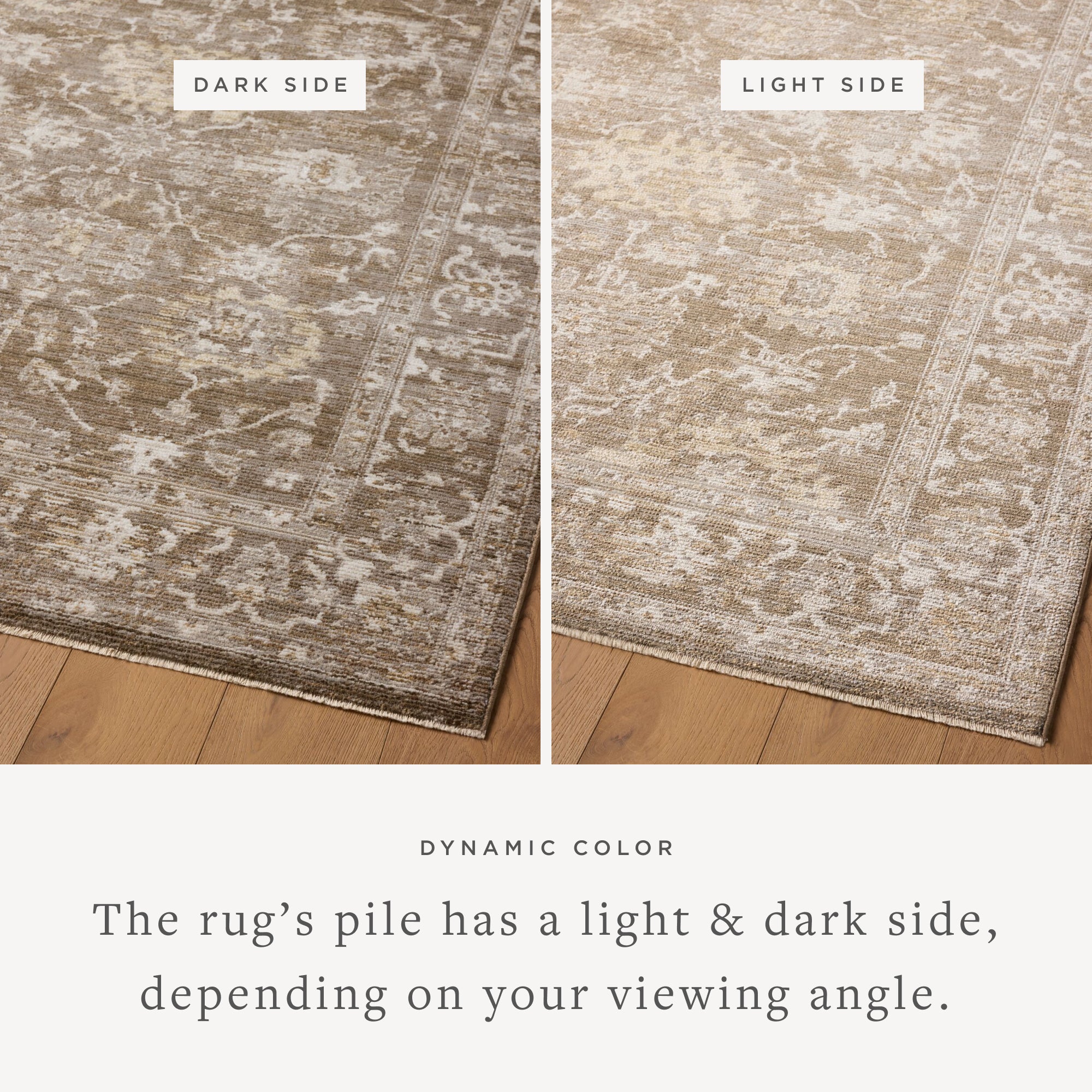 Magnolia Home by Joanna Gaines x Loloi Pace Bark / Natural Rug RUGS - synthetic Loloi 18" x 18" sample