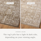 Joanna Gaines x Loloi Pace Bark / Natural Rug RUGS - synthetic Loloi