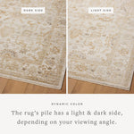 Joanna Gaines x Loloi Pace Natural / Gold Rug RUGS - synthetic Loloi