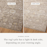Joanna Gaines x Loloi Pace Taupe / Wheat Rug RUGS - synthetic Loloi