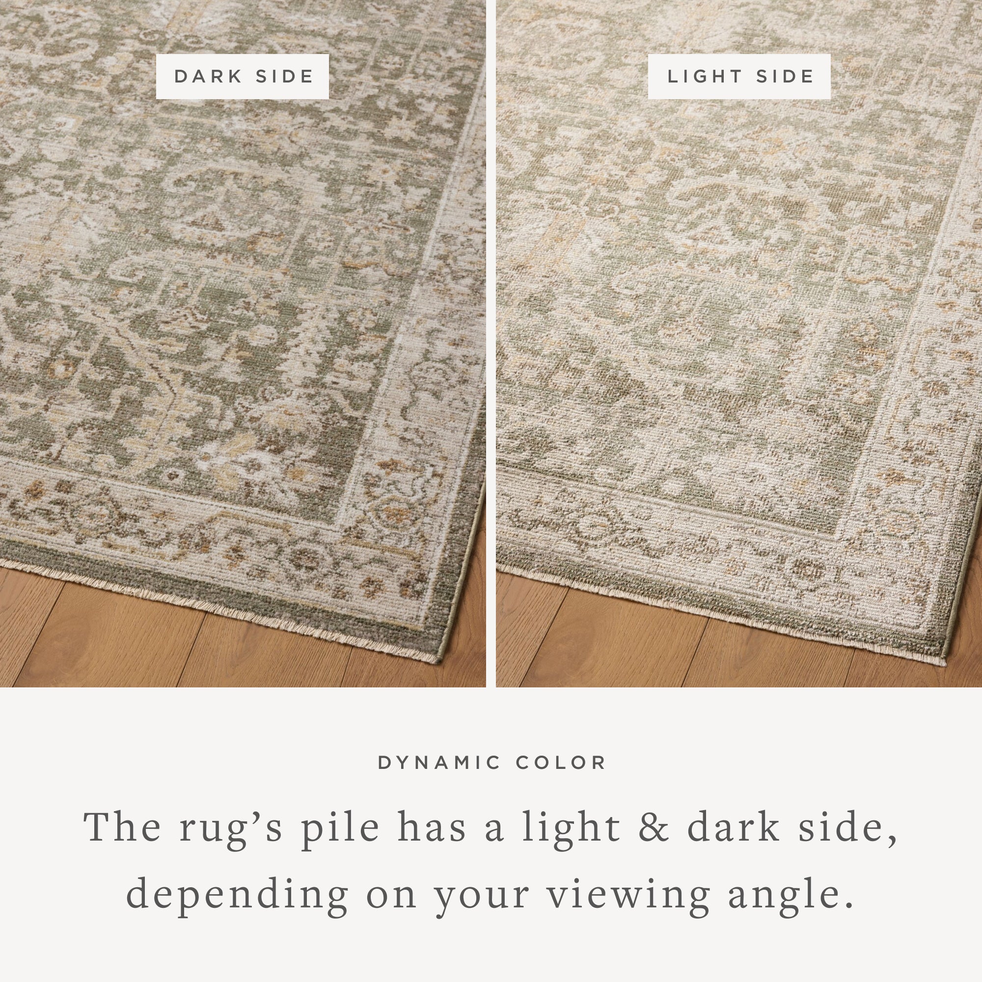 Joanna Gaines x Loloi Pace Forrest / Natural Rug RUGS - synthetic Loloi