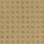 Patara Hand Woven Wool Area Rug RUGS - wool Momeni