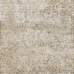 Loloi Patina Champagne / Lt. Grey Rug RUGS - synthetic Loloi