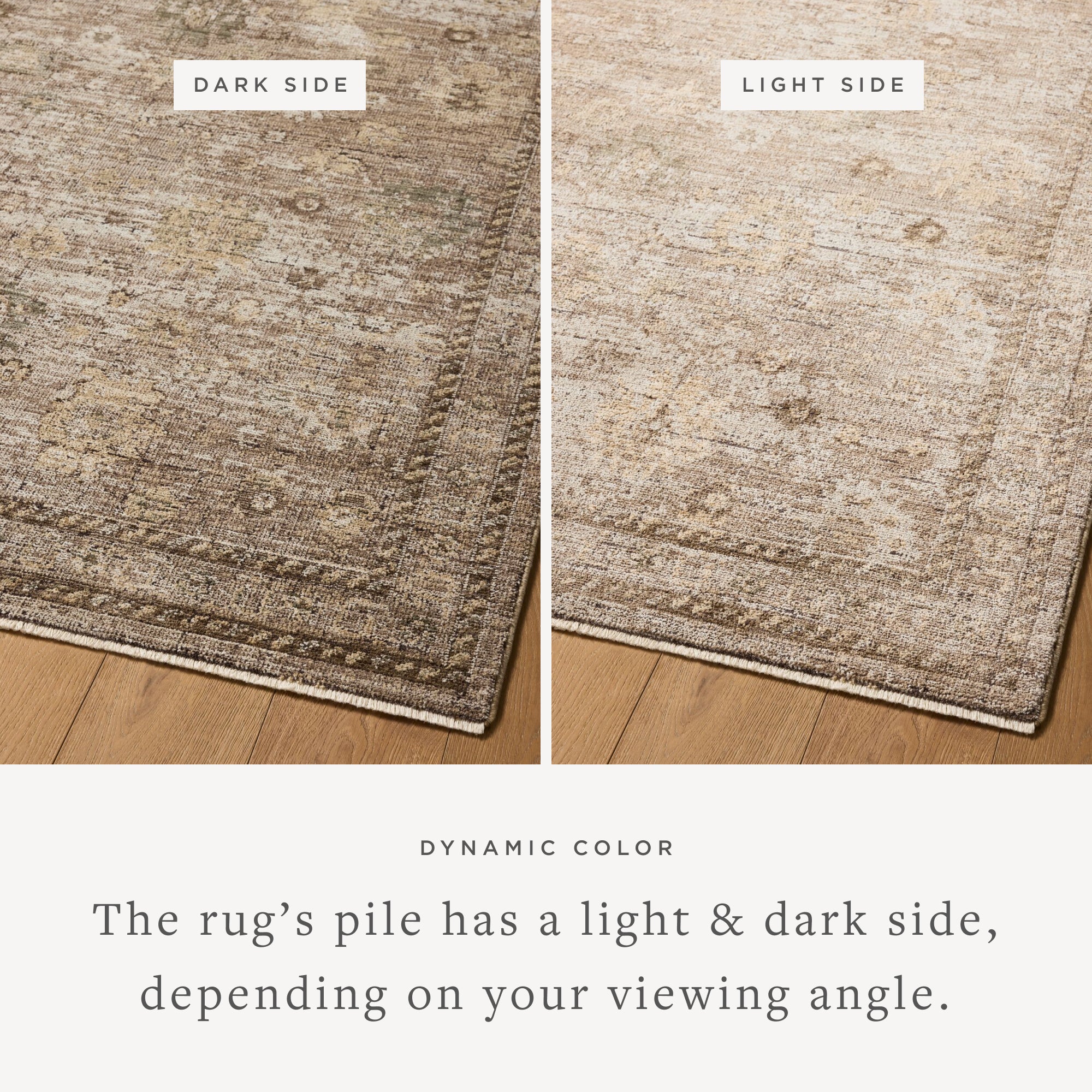 Loloi Priscilla Sand / Earth Square Rug RUGS - synthetic Loloi