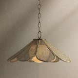 Petal Pendant LIGHTING - Pendant Hudson Valley Lighting
