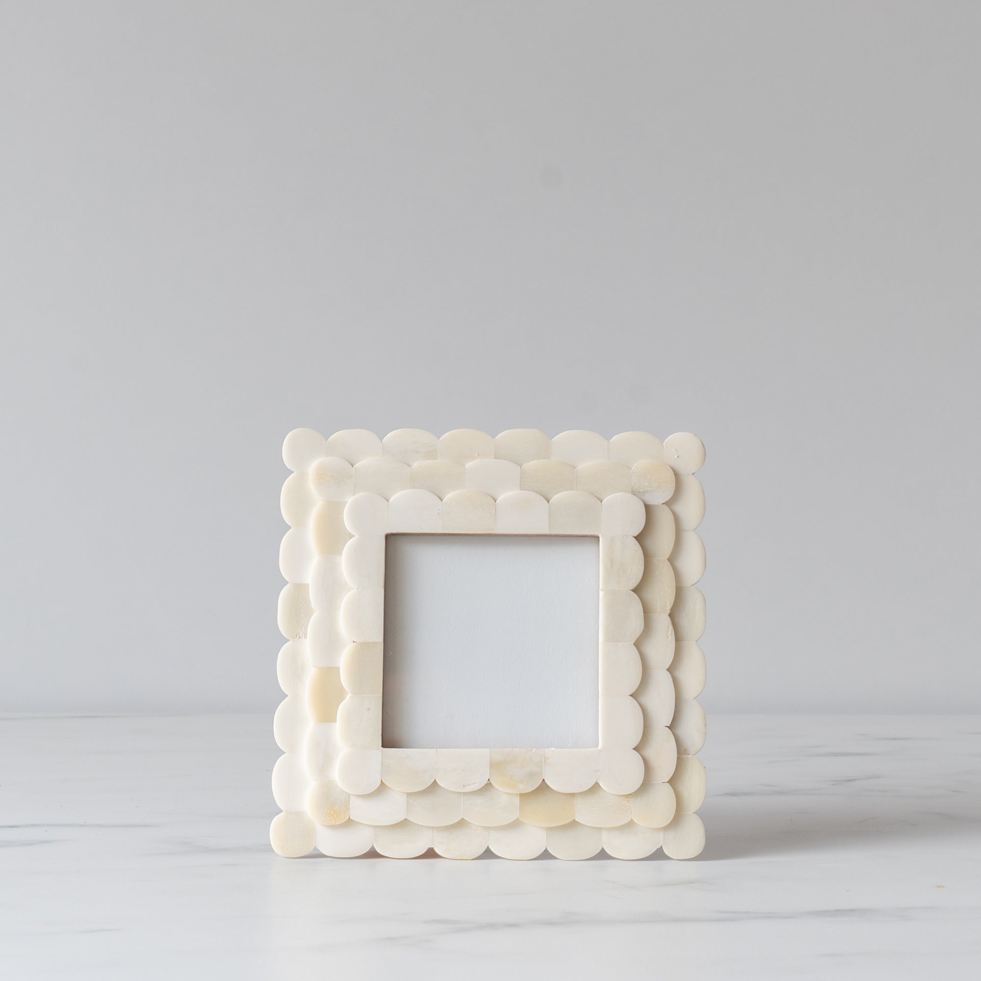 Scallop Bone Frame - Rug & Weave